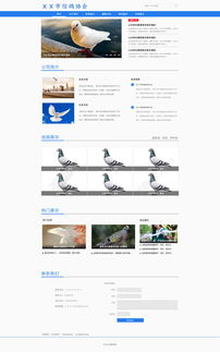 信鸽协会网页设计模板免费下载——千图网27604300号资源详解