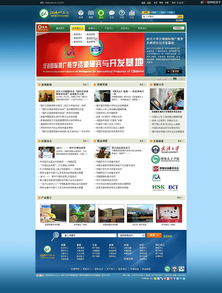 汉推基地项目课程与官方站设计集锦 融合文化传播与现代网页设计